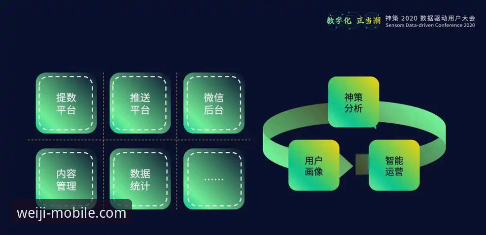 维基体育安全吗教程：从下载到登录的实战指南
